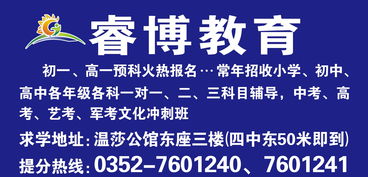 探索服務型教育咨詢 大同市城區睿博教育信息咨詢中心的實踐與啟示