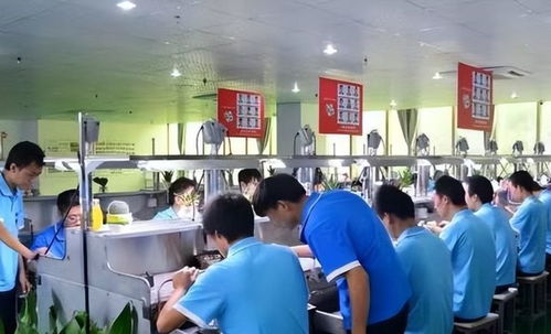 青海學霸周浩 從北大退學到技校，他的選擇照亮另一種教育可能